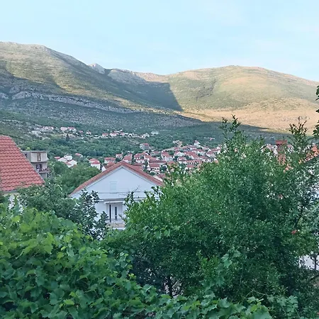 Affittacamere View